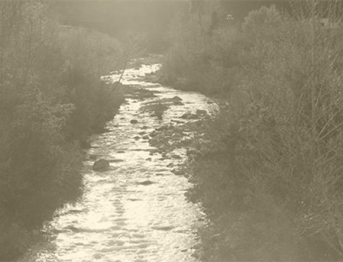 Validazione dei fascicoli nell’Anagrafe delle aziende agricole.