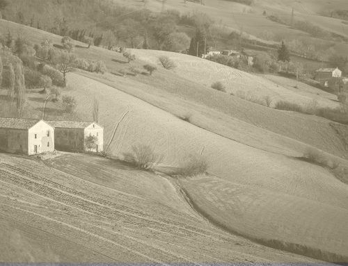 Prorogata al giorno 27 ottobre 2025 la scadenza del bando relativo all’Azione specifica SRG06 VMC_AS_05B “Ampliamento e riqualificazione delle micro/piccole/medie imprese (PMI) extra agricole in zone rurali”.