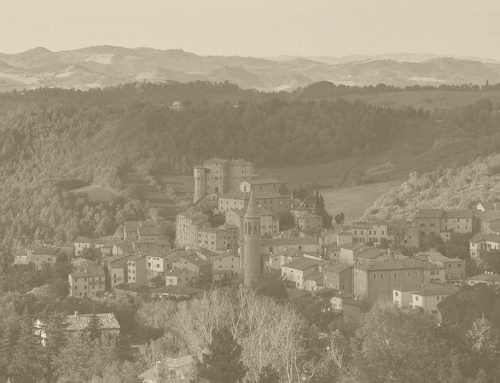 Prorogata al giorno 01 dicembre 2025 la scadenza del bando relativo all’Azione specifica SRG06 VMC_AS_02B “Valorizzazione della rete dei Centri di interpretazione del paesaggio (CIP)”.