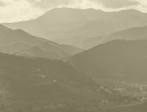 Prorogata al giorno 28 novembre 2025 la scadenza del bando relativo all’Azione ordinaria SRE04 “Start up non agricole”.