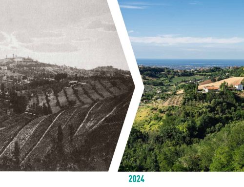 La mostra “Paesaggi da vivere” in regione Emilia Romagna fino al 26 Gennaio 2025